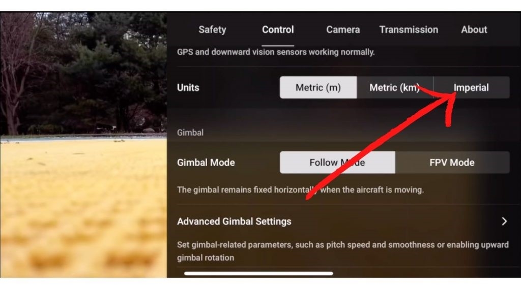 снимок экрана приложения dji fly для переключения с метрических единиц на имперские